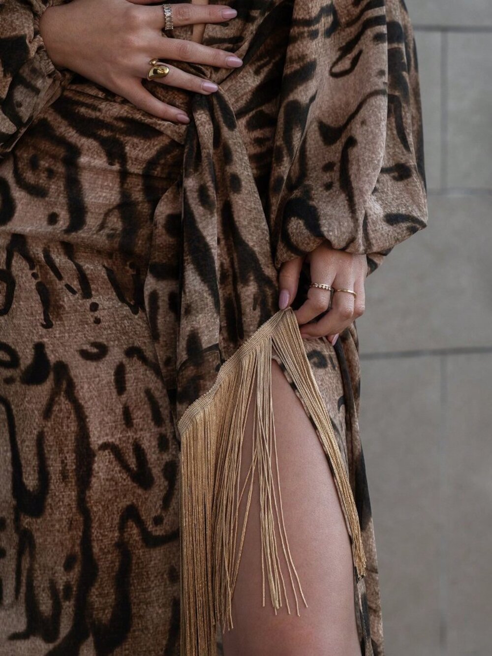 Brown Sexy Women's Elegant Tassel Zebra Print Long Sleeved Maxi Dress - Picture 3 of 6